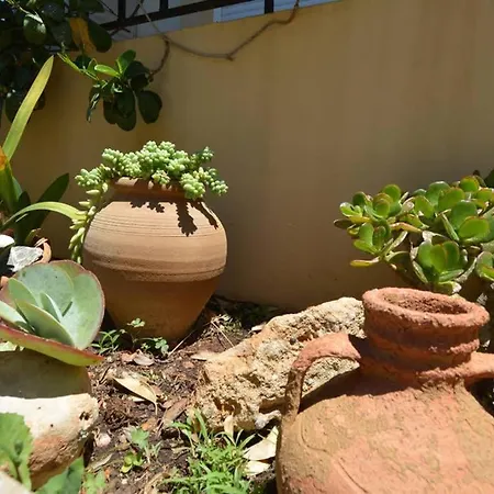 Olive Oil Hersonissos (Crete)